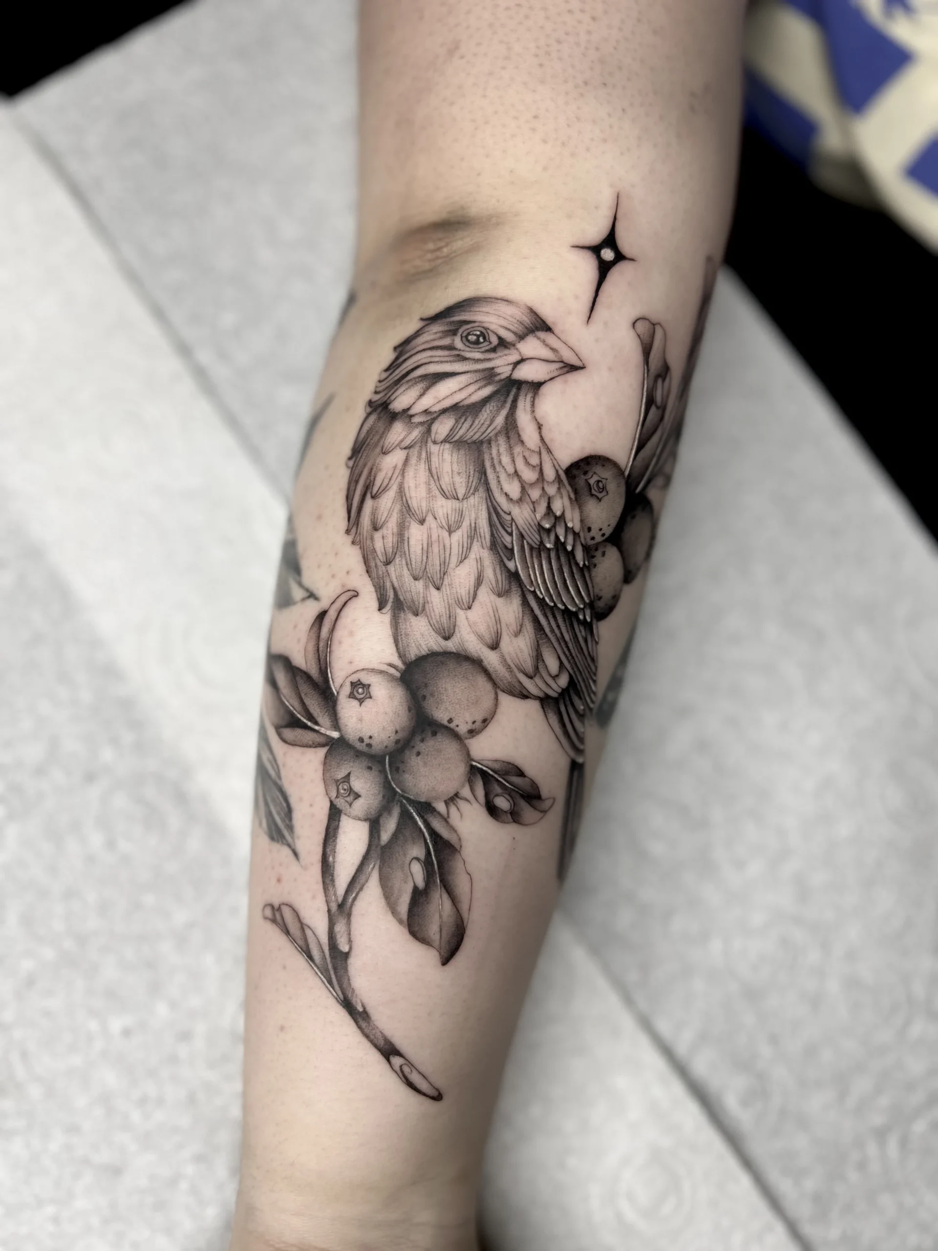 Black and grey fine line tattoo at XOXO Dublin