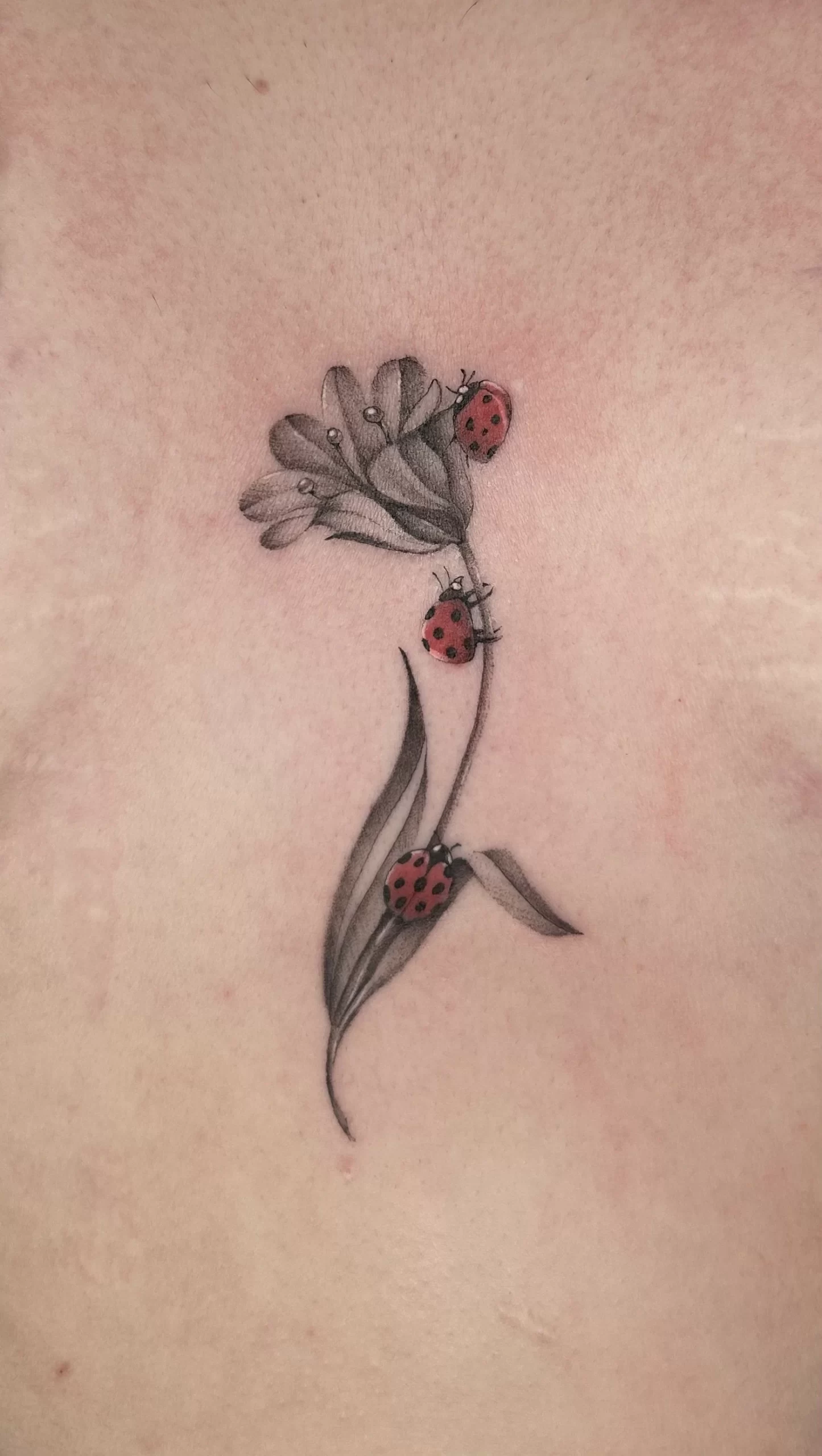 Small delicate fine line tattoo at XOXO Dublin - small tattoo ideas and inspiration