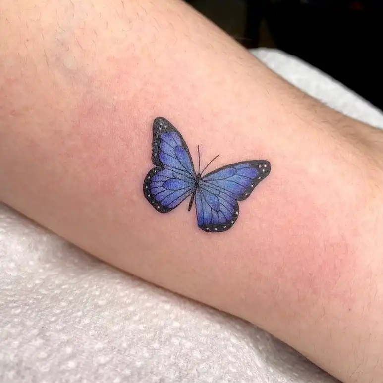 Colour Butterfly - Colour tattoo at XOXO Dublin