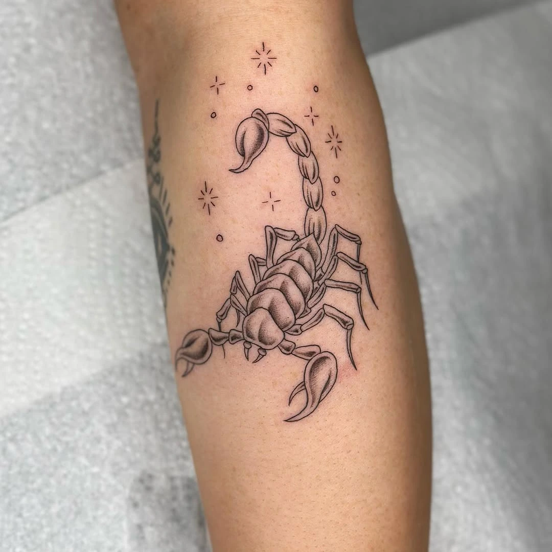 Fine line scorpion with stars tattoo at XOXO Dublin
