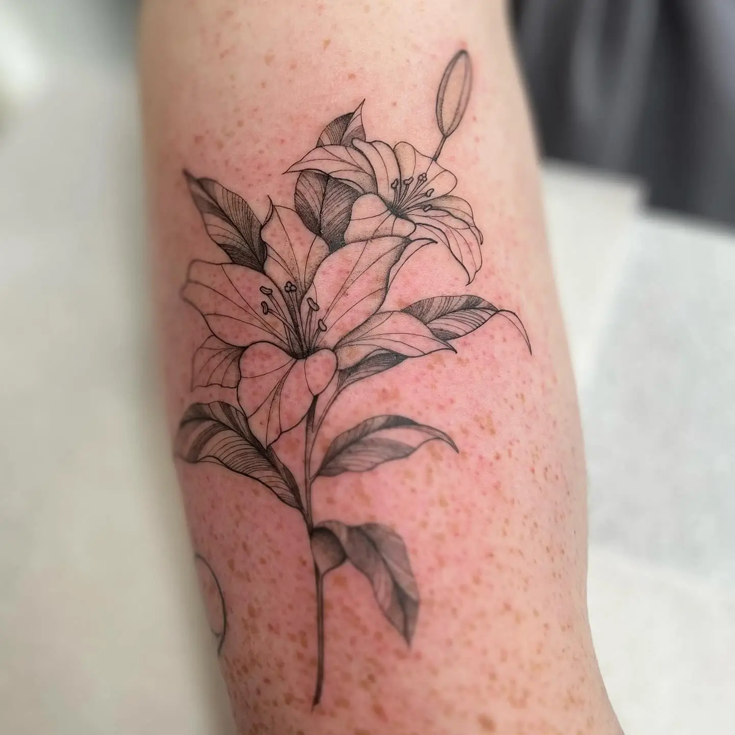 Fine-line lily flower tattoo by Christine Bevilaqua at XOXO Dublin