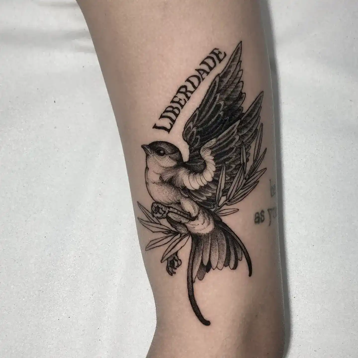 Neo-traditional swallow tattoo with lettering by Gabriel Vendra at XOXO Dublin